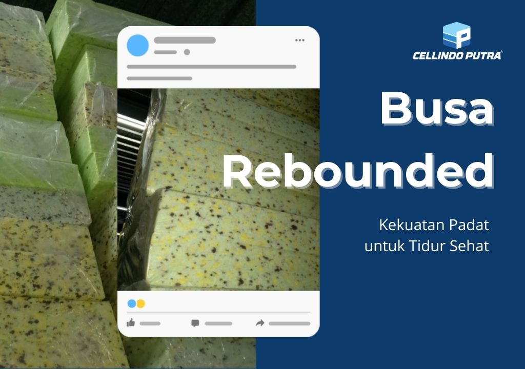 Busa Rebounded